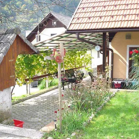 Holiday In - Sud-ost Slowenien 42899 Semesterbostad *